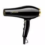 Fen Dessini DS-5581 (Hairdryer)