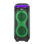 GEARDO GD-2102 100W 2Microphone