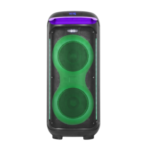 GEARDO GD-2102 100W 2Microphone