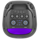GEARDO GD-2102 100W 2Microphone