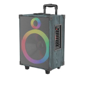 SİNG-E JQS912L 50W 2Microphone