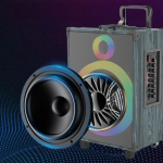 SİNG-E JQS912L 50W 2Microphone