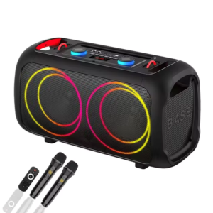 SİNG-E ZQS-L17 40W 2Microphone