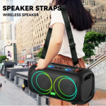 SİNG-E ZQS-L17 40W 2Microphone